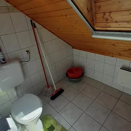 Pátri *