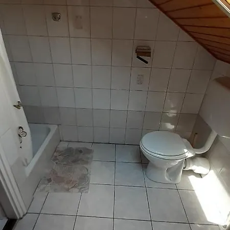Pátri *